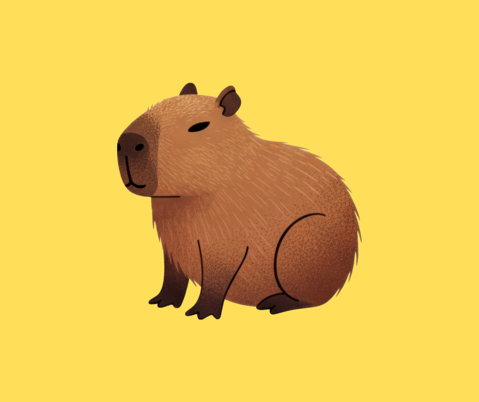 Capy Capybara